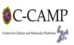 Centre for Cellular And Molecular Platforms
